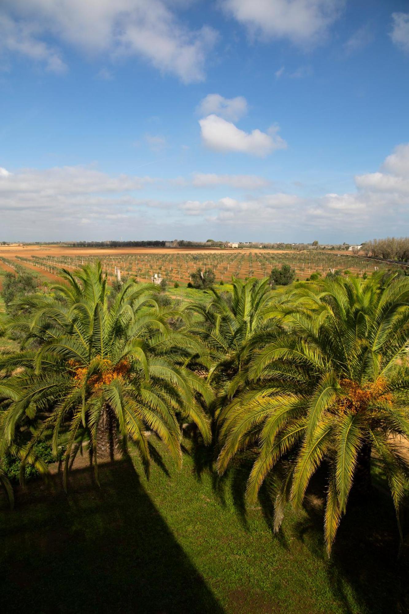 Tenuta Afra Squinzano Exterior photo